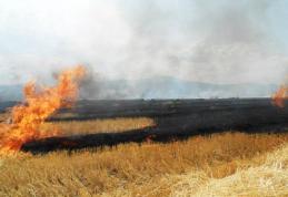 Peste opt hectare și două tone de furaje mistuite de flăcări