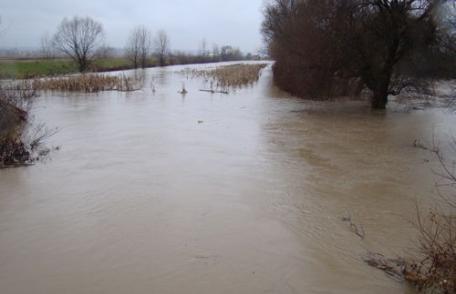 Case inundate - 39 persoane evacuate preventiv din calea apelor revărsate ale râului Miletin 