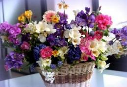Nu ştii ce flori să alegi pentru o aniversare sau o altă ocazie specială? Iată ce preferințe au femeile în funcție de zodie