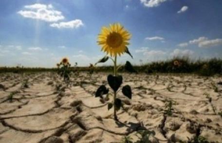 Plan nou de măsuri pentru diminuarea efectelor secetei pe teritoriul judeţului Botoşani