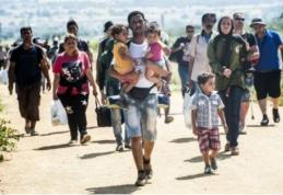 Primii refugiați vor ajunge în țara noastră în noiembrie