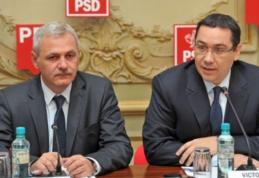 Liviu Dragnea: În cel mult o săptămână voi anunţa dacă candidez şefia PSD