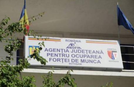 Peste cinci sute de posturi vacante, anunțate de AJOFM Botoșani