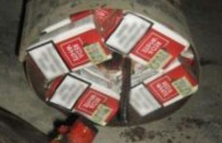 Aproximativ 17.000 țigarete de contrabandă au fost descoperite cu ajutorul câinelui polițist Nakagu