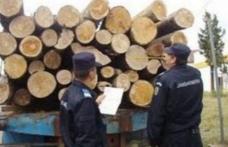 Trei metri cubi de cherestea confiscați de jandarmii botoșăneni