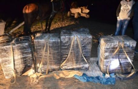  Țigarete de contrabandă, ascunse într-un atelaj hipo sub gunoi de grajd, descoperite de poliţiştii de frontieră - FOTO