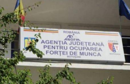 Aproximativ 7.000 de persoane aflate în căutarea unui loc de muncă înregistrate în evidenţele AJOFM Botoșani