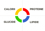 calorii-proteine-glucide-lipide