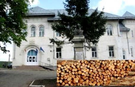 Liceul Teoretic „Anastasie Bașotă” Pomîrla anunță licitatie pentru vînzare masă lemnoasă fasonată