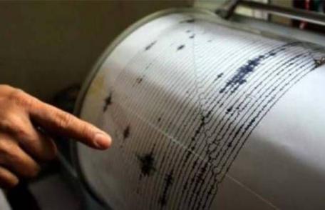 Două cutremure au avut loc, duminică dimineață, în România, în județele Vrancea și Bacău
