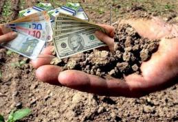 Anunț important! Se începe plata despăgubirilor pentru secetă. La nivelul județului Botoșani au fost depuse aproximativ 9000 de cereri