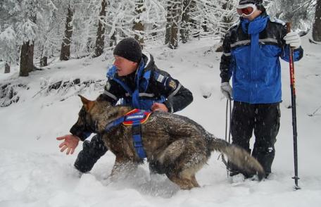 Câinii salvatori – ajutor de nădejde al jandarmilor montani în salvarea vieţilor oamenilor - FOTO