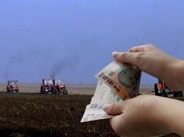  Luni 16 mai, ultima zi în care agricultorii mai pot depune cereri de subvenţie