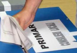 Guvernul a stabilit data alegerilor locale și modelul buletinelor de vot