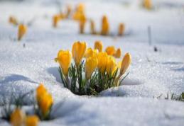 Nu disperați, primăvara vine repede! Prognoza meteo până în aprilie