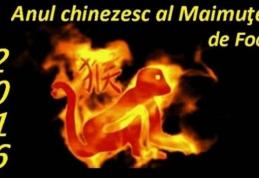 Horoscop chinezesc 2016. Anul Maimuţei de Foc. Citeşte previziunile pentru zodia ta