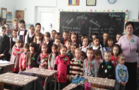 Şcoala Gimnazială „Dimitrie Romanescu” Dorohoi - Oferta educaţională