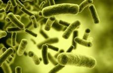 Cum te poți infecta cu bacteria E.Coli. Lista produselor de care să te ferești