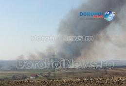 Aproximativ 70 de hectare distruse într-un incendiu! Pompierii dorohoieni s-au luptat nouă ore cu flăcările! - FOTO