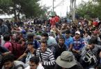 Imigranţi în Grecia
