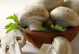 Ciupercile sunt cel mai bun înlocuitor al cărnii în perioadele de post
