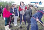 Plantare de copaci Dorohoi 2016_20