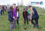 Plantare de copaci Dorohoi 2016_45