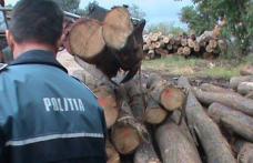 Peste 5 mc de material lemnos confiscat de polițiști