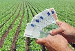 S-a înfiinţat azi o nouă funcţie în România: ataşatul agricol. Ce este şi ce salariu primeşte
