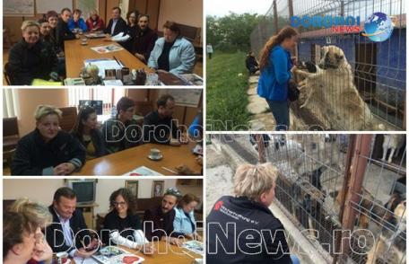 Proiect dedicat cățeilor din Dorohoi derulat de patru asociații din Botoșani, Olanda și Germania - FOTO