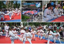 Demonstrație de karate oferite de clubul Black Tiger pe Pietonalul „Grigore Ghica” din Dorohoi - FOTO