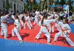 Activitate karate_14