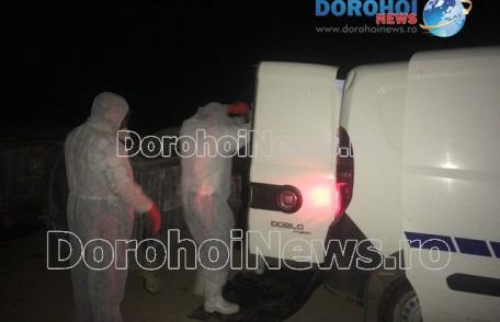 Descoperire macabră într-un buncăr de gunoi din Dorohoi. Autoritățile locale și județene puse în alertă! - FOTO