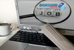 Aproape 500 de locuri de muncă sunt la dispoziţia şomerilor din judeţul Botoşani, în această săptămână!