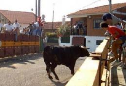 O fetiţă româncă a fost rănită grav de un taur scăpat de sub control