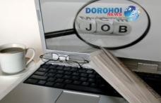 Peste 500 de locuri de muncă sunt la dispoziţia şomerilor din judeţul Botoşani, în această săptămână!