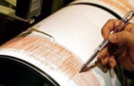 Cutremur de 4,1 grade pe scara Richter în județul Vrancea, joi seara