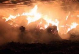30 de tone de furaje distruse într-un incendiu, la Dimăcheni