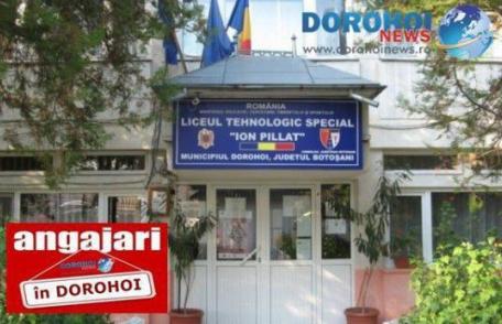 Liceul Tehnologic Special „Ion Pillat” Dorohoi angajează șofer!