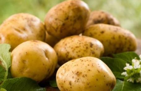 Cartofii, adevărat medicament pentru rinichi