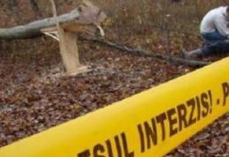 Cumplit! Un adolescent din Suharău a murit după ce a căzut un copac  peste el