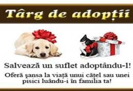 Asociația ADOR | Târg de adopţii şi concurs de frumuseţe canină, sâmbătă, în Parcul Mihai Eminescu