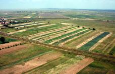 Statul vrea sa cumpere terenuri agricole mici pe care sa le comaseze pentru concesionare