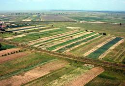 Statul vrea sa cumpere terenuri agricole mici pe care sa le comaseze pentru concesionare
