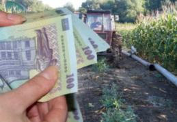 Trufin: „Guvernul a adoptat măsurile prin care fermierii pot accesa credite de dezvoltare cu garanții de stat de 80% din valoarea împrumutului”