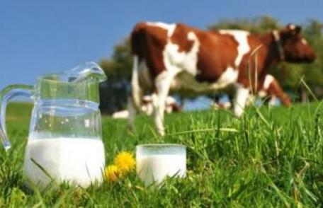 Sprijin financiar excepțional pentru fermierii care dețin între 3 și 9 vaci de lapte