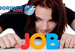 Peste 370 locuri de muncă disponibile în această săptamână în județul Botoșani. Vezi lista posturilor vacante!