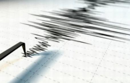 Cutremur de 4,2 în Vrancea. Ai simțit acest seism?