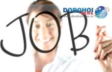 Peste 500 locuri de muncă disponibile în această săptamână în județul Botoşani. Vezi lista posturilor vacante!