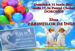 Ziua „Părinților de îngeri” organizată la Dorohoi - „Când dorul şi iubirea se înalță la ceruri”